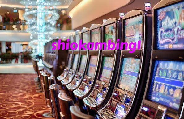 shiokambing1 slide 1